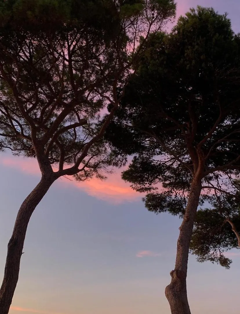 Baglio Silvestro Guest House Crocevie